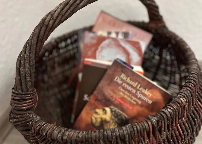 Daire Bege Next Level Sleep