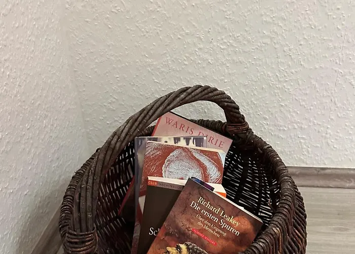 Bege Next Level Sleep