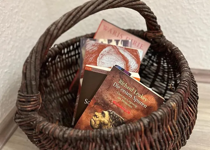 Daire Bege Next Level Sleep